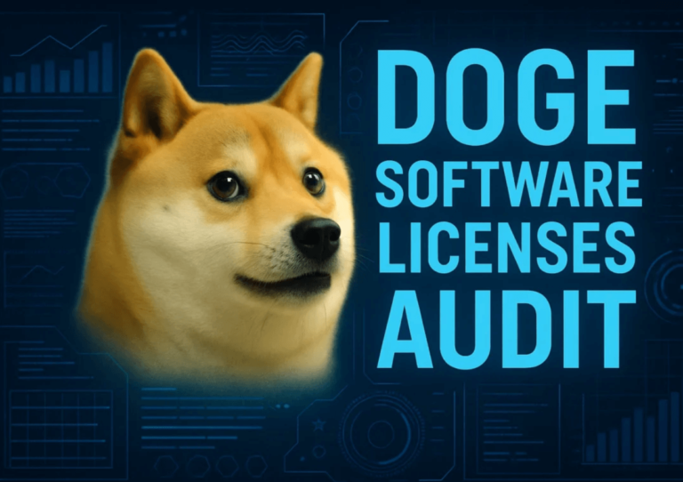 Doge Software Licenses Audit HUD