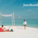 Sandbank NYT